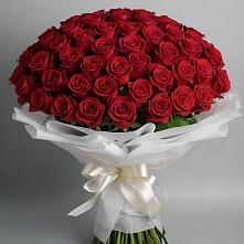 Букет 101 Красная роза Блэк Мэджик в Козловке Воронежской области