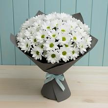 Букет цветов из:  Хризантемы #REPLACE_PRED# Козловке Воронежской области