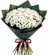Букет цветов из:  Хризантемы в Козловке Воронежской области