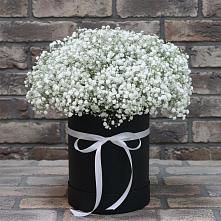 Цветочная композиция из Гипсофила в шляпной коробке в Козловке Воронежской области