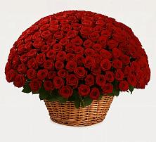 Премиум букет из: Розы в Козловке Воронежской области